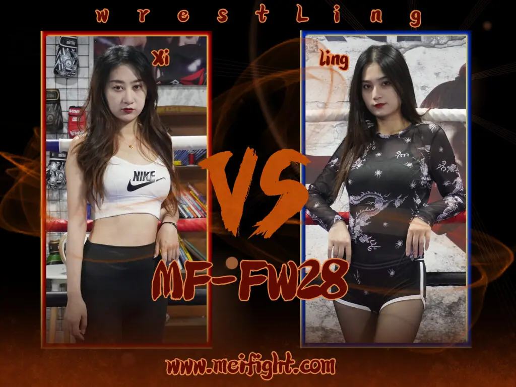MF-FW28-Xi VS Ling-格斗艺术