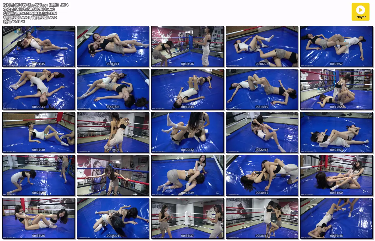 MF定拍 qian vs tang-格斗艺术