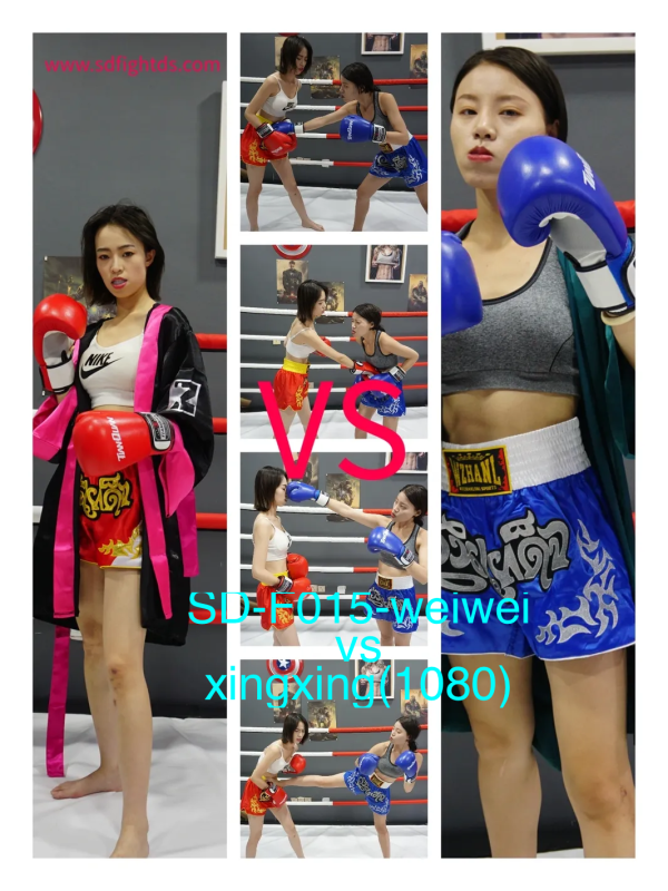 SD-F015-格斗艺术