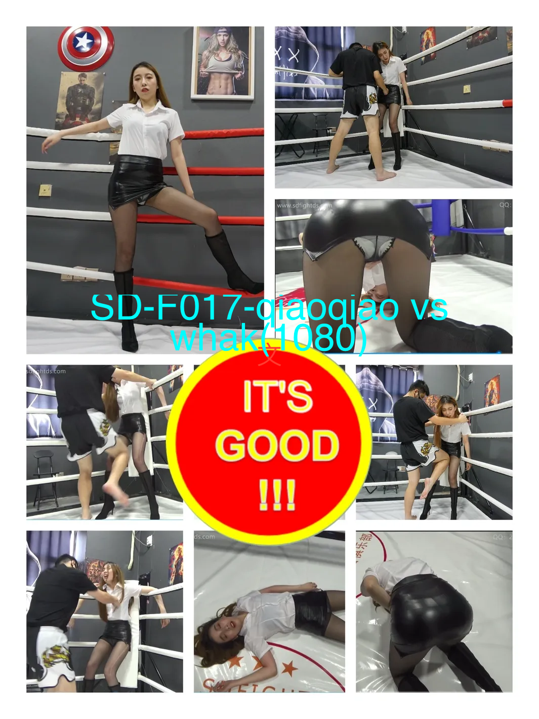 SD-F017 Qiaoqiao vs hawk-格斗艺术