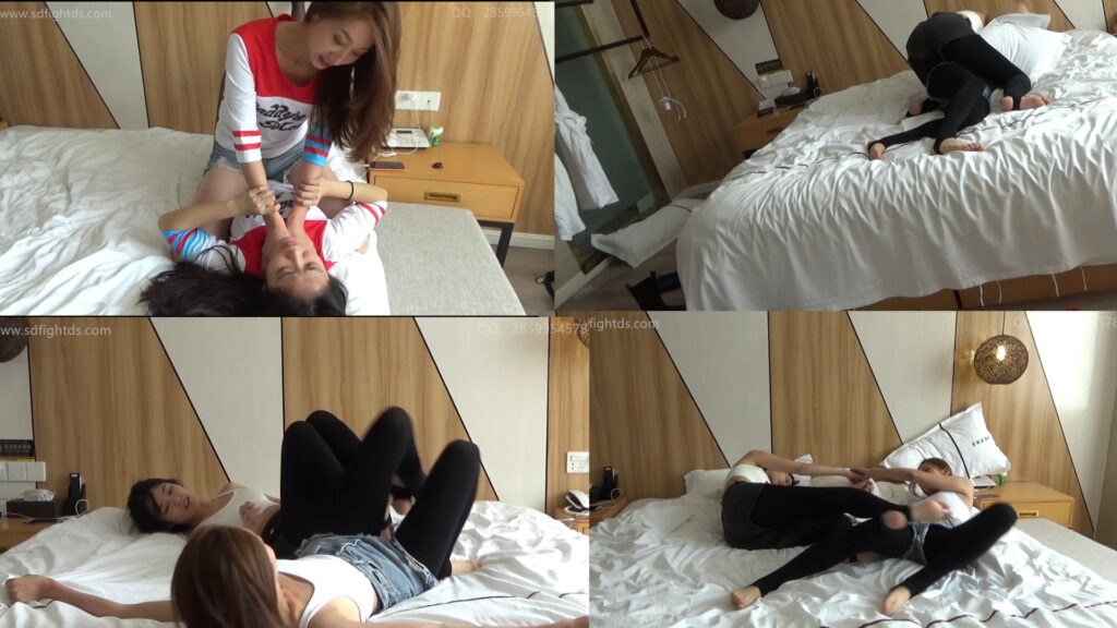 SD-S005-jiangjiang vs sansan-格斗艺术