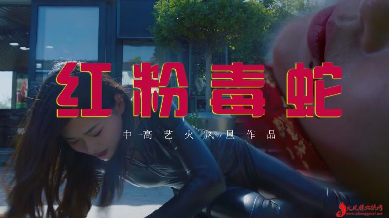 红粉毒蛇-格斗艺术