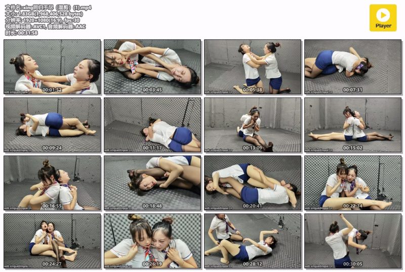 xing同归于尽-格斗艺术