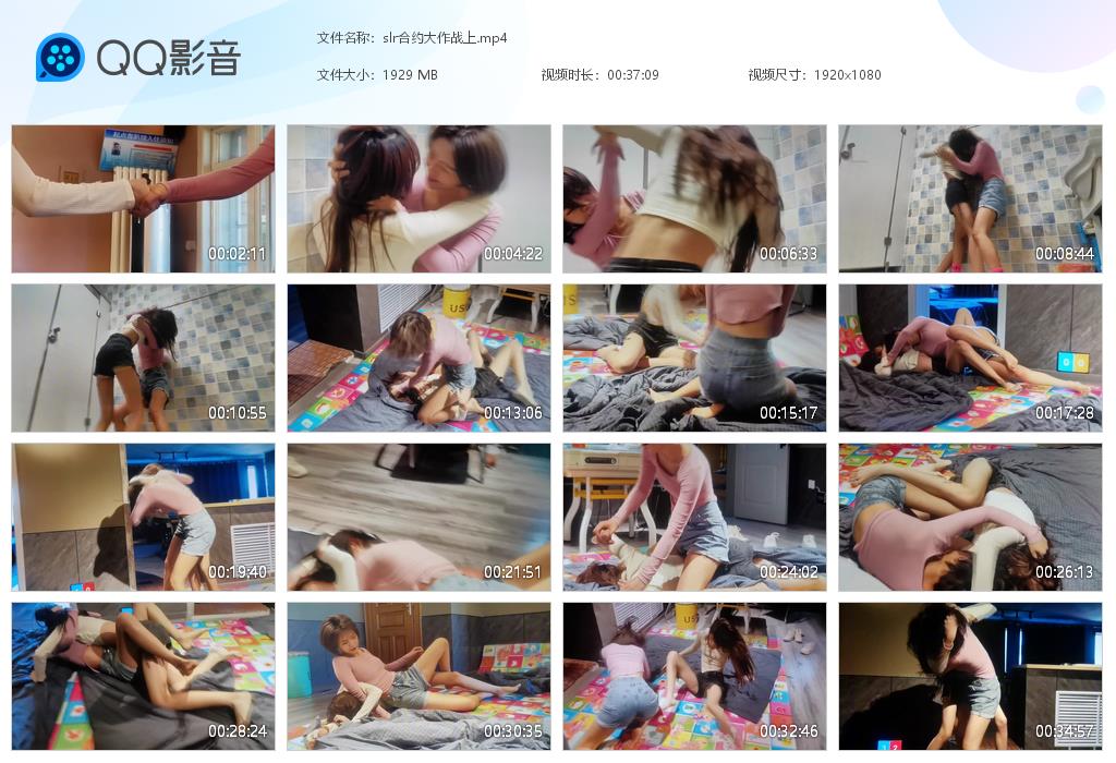 slr合约大作战上-格斗艺术