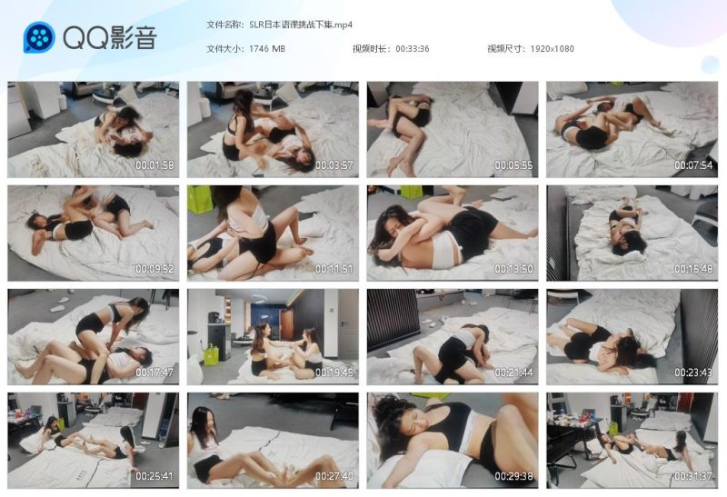 SLR日本语课挑战下-格斗艺术