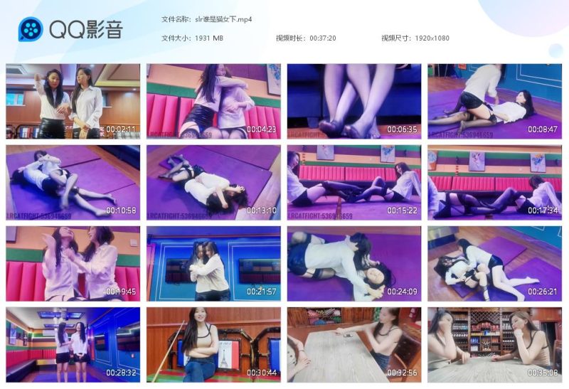 slr谁是猫女下-格斗艺术