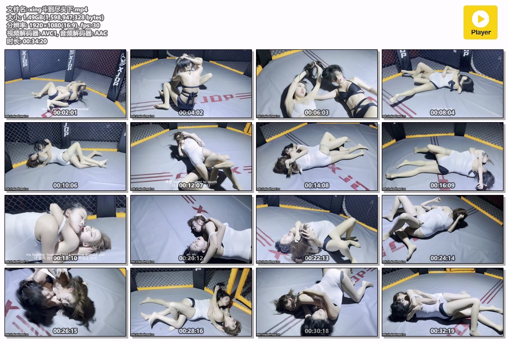 xing斗到尽头下-格斗艺术