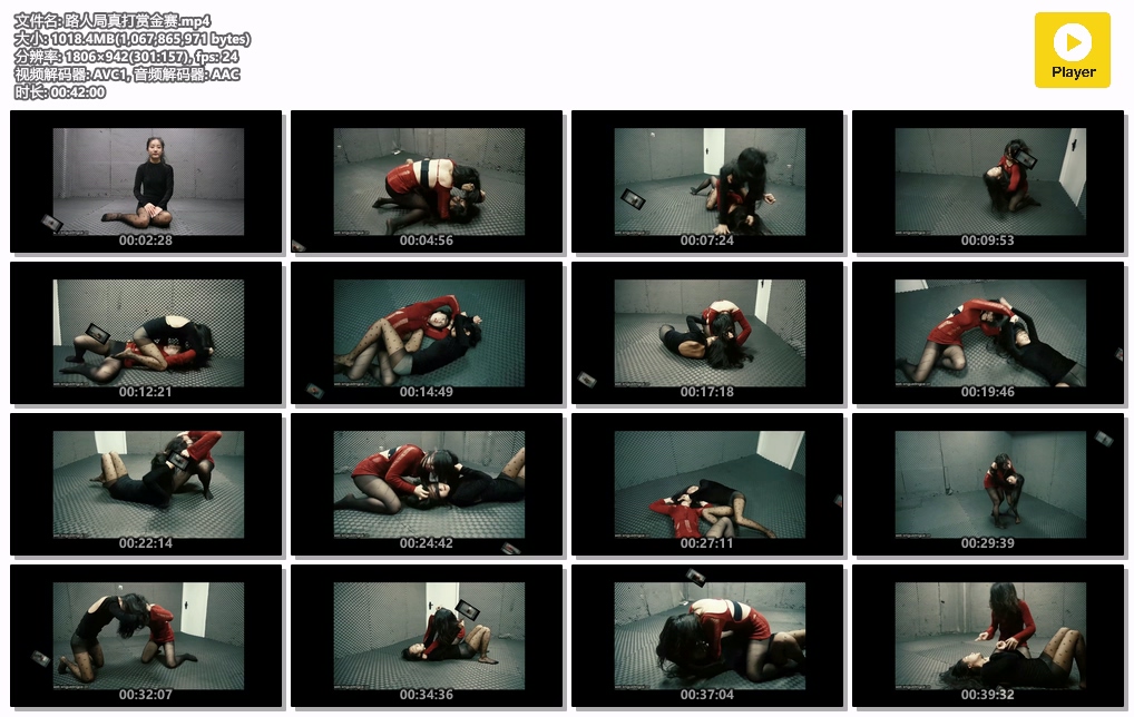 路人局真打赏金赛-格斗艺术