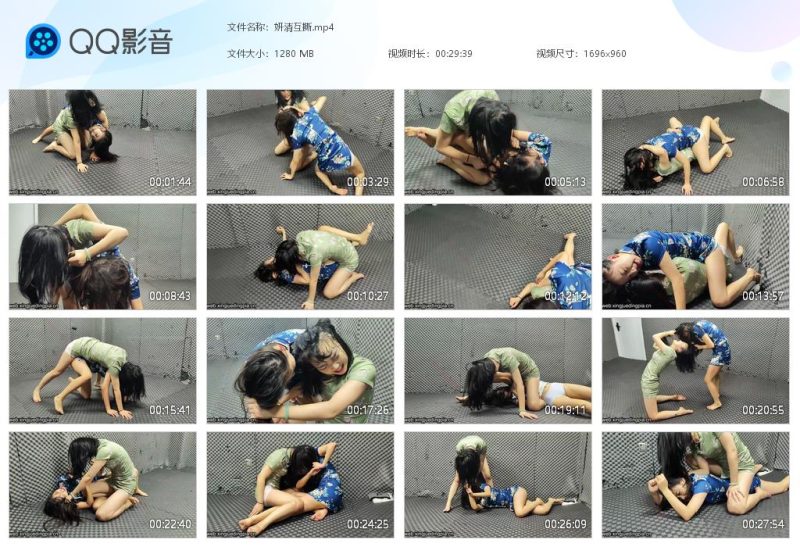 妍清互撕-格斗艺术