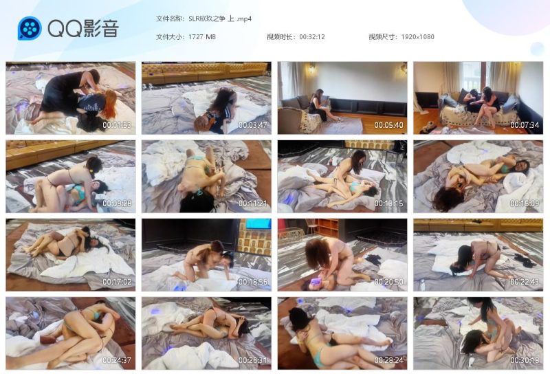 SLR欣玖之争上-格斗艺术