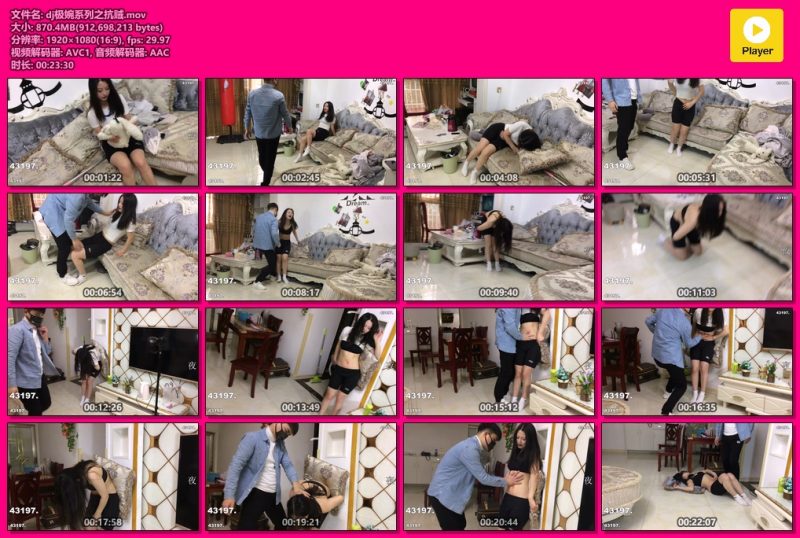 dj极婉系列之抗贼-格斗艺术