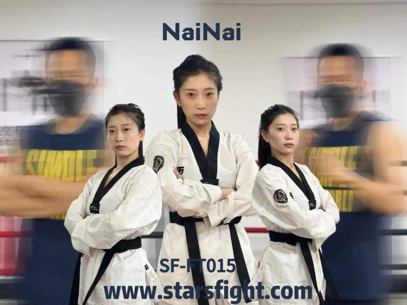 SF-FT015-NaiNai-VS-W-格斗艺术