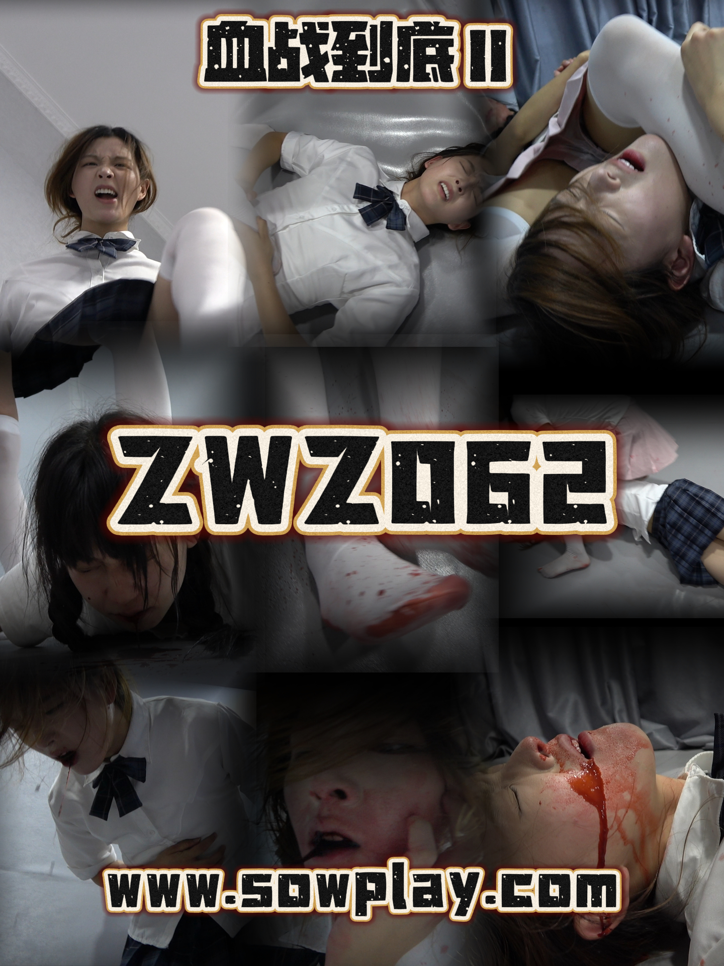 ZWZ062-血战到底2-格斗艺术
