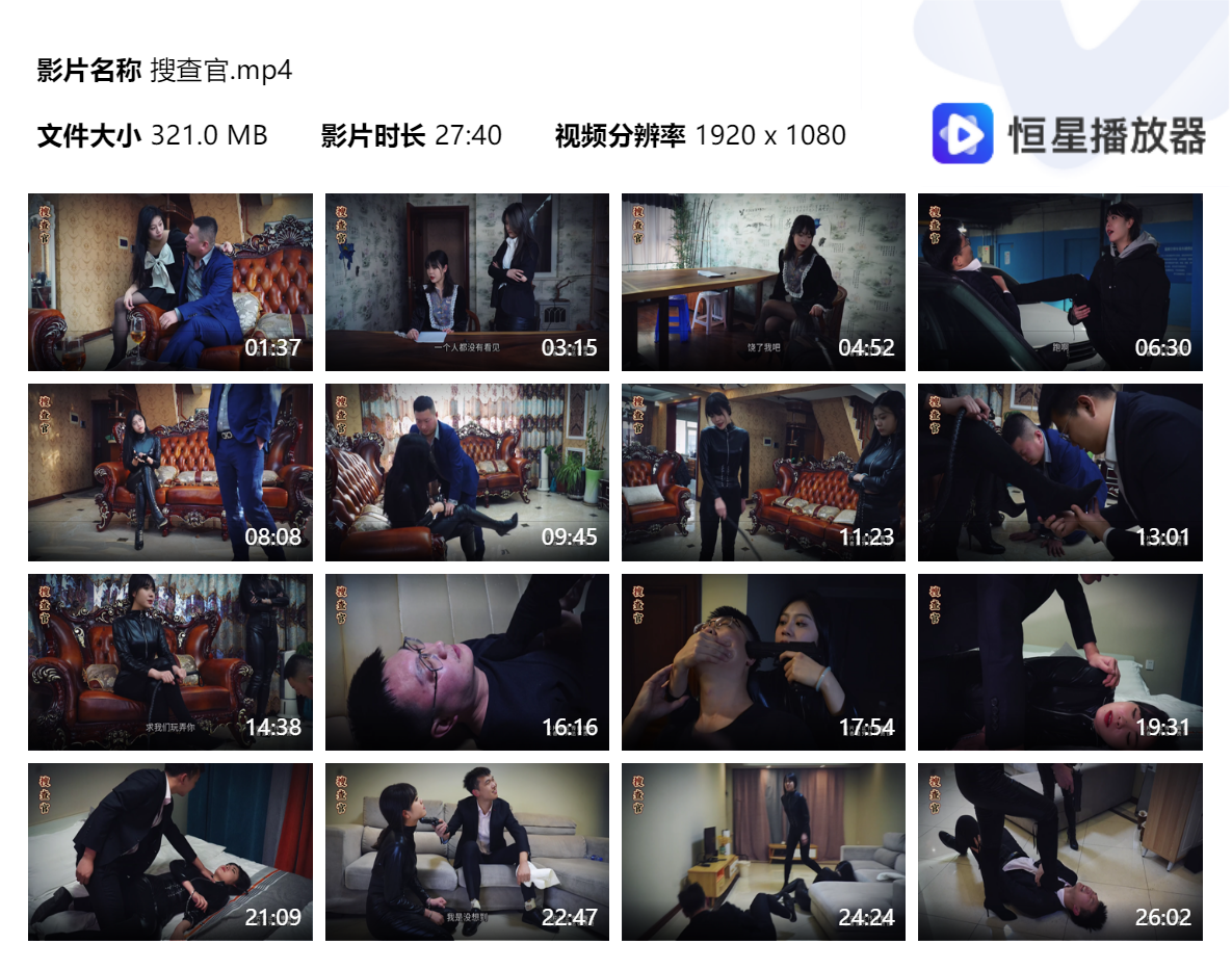 搜查官-格斗艺术