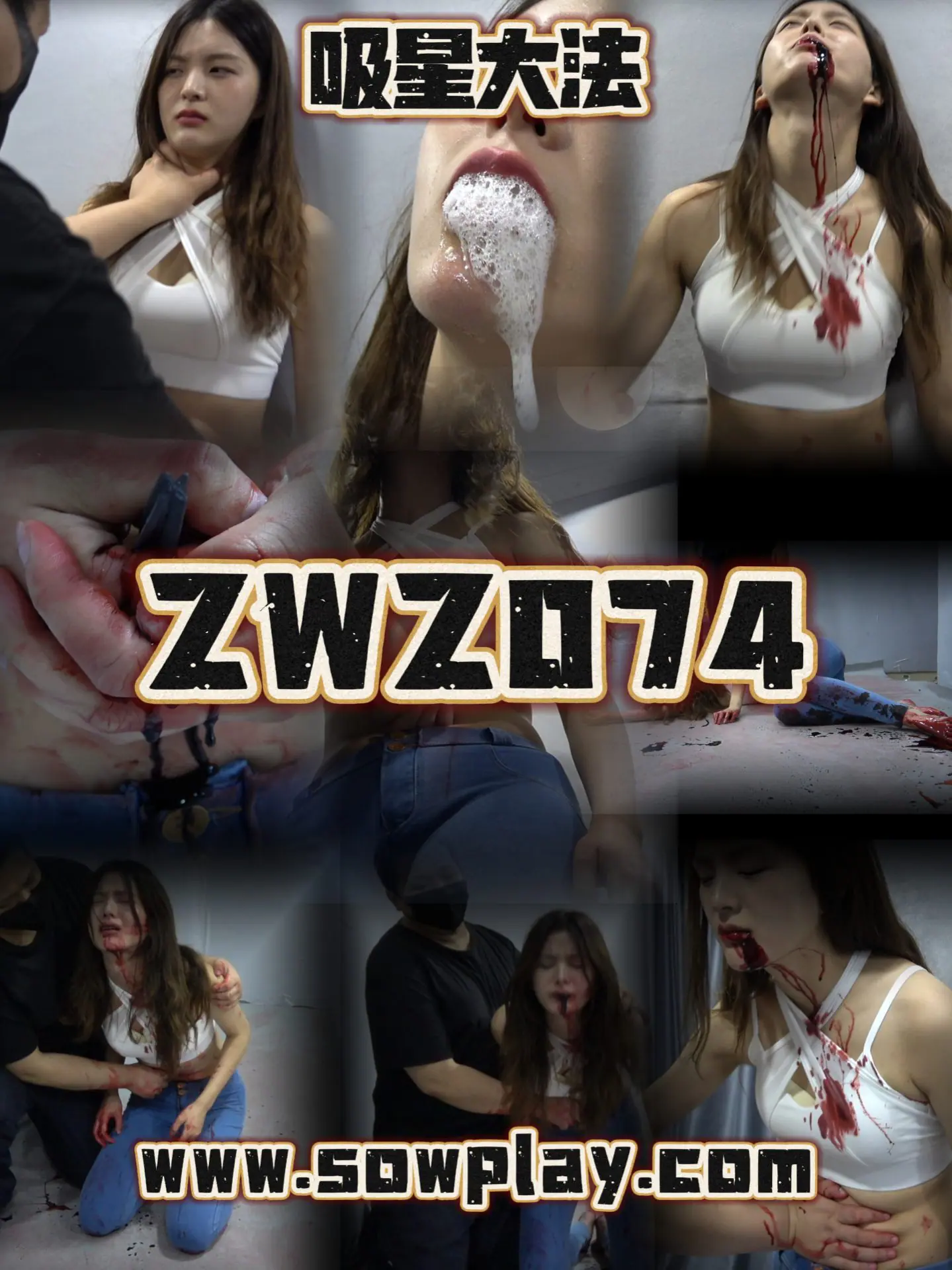 Z074 vv VS wjn-格斗艺术