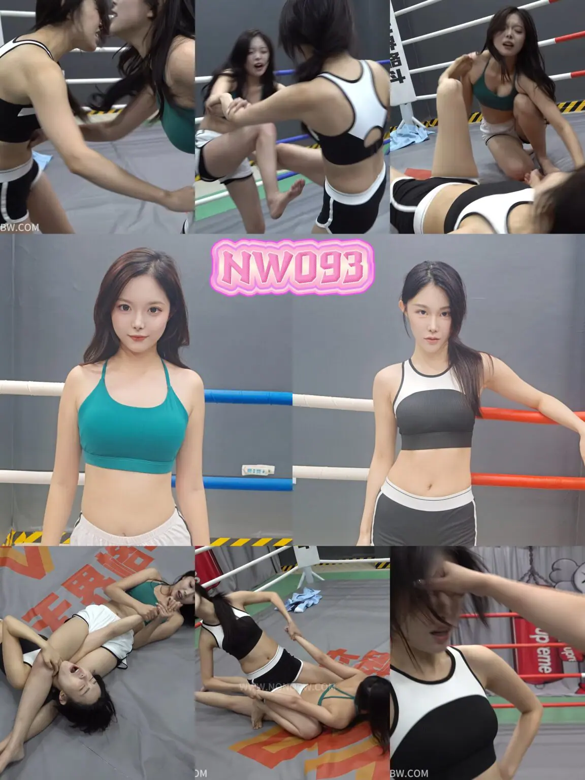 【所有人免费】NW093-格斗艺术